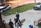 Хулиганы из Шексны попали на камеры видеонаблюдения во время отдыха во дворе