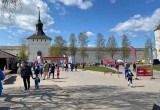 Больше 500 любителей бега вышли на старт Кирилловского полумарафона 