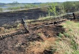 В вологодской деревне сгорели четыре дома и полтора гектара сухой травы