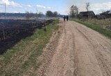 В вологодской деревне сгорели четыре дома и полтора гектара сухой травы