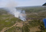 Парашютисты пытаются ликвидировать лесной пожар на северо-западе Вологодской области
