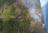В Вологодской области потушен самый крупный в этом году лесной пожар