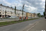 В Череповце на улице Сталеваров начали высаживать взрослые липы и шиповник
