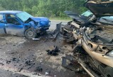 Трое взрослых и двое детей пострадали в массовой аварии на федеральной трассе М-8 в Вологодской области