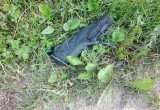 Улицы одного из вологодских поселков завалены мертвыми птицами