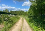 Под Череповцом пенсионер получил травмы, упав с мотоблока