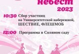 В Череповце в День семьи, любви и верности пройдет "Парад невест"