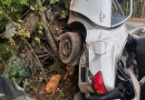 19-летняя девушка погибла после столкновения иномарки с деревом под Устюжной