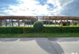 Протяженность "живой изгороди" в Череповце достигла 55 километров
