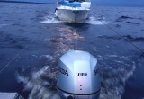 Череповчанин на катере с неисправным мотором застрял на Рыбинском водохранилище
