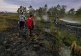 На северо-западе Вологодской области жители деревни устроили лесной пожар