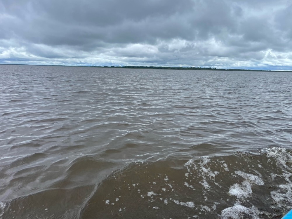 Погода кубенское озеро. Озеро Кубенское Коноша. Кубенское озеро 2023. Сон Кубенское озеро. Вывеска Кубенское озеро.