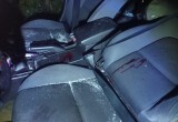 Три человека пострадали в ДТП под Кадуем по вине выбежавшего на дорогу лося
