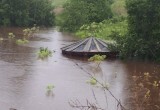 На северо-западе Вологодской области из-за обильных дождей затопило дороги, улицы и приусадебные участки