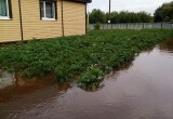 На северо-западе Вологодской области из-за обильных дождей затопило дороги, улицы и приусадебные участки