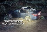 Водитель "Ниссана" попал в больницу после встречи с лосем на трассе под Череповцом