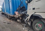 Вологодский дальнобойщик устроил смертельную аварию под Санкт-Петербургом