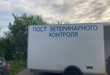 В Череповецкий район прибудет дополнительная бригада ветеринаров для проведения карантинных мероприятий