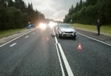 Четверо взрослых и двое детей пострадали в жестком ДТП на федеральной трассе в Вологодской области