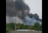 Жители Череповецкого района жалуются на дым и гарь от массового сжигания кур