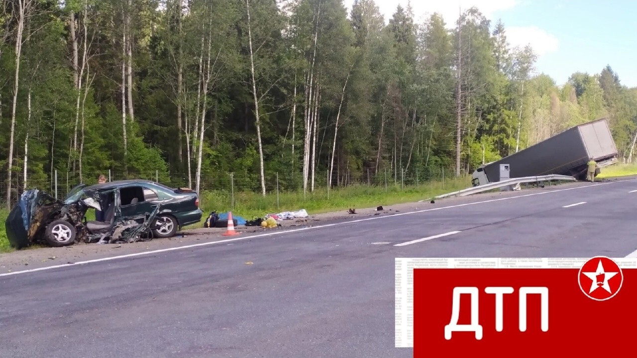 На трассе А-114 под Шексной столкнулись фура и легковушка: есть  пострадавшие | 05.08.2023 | Череповец - БезФормата