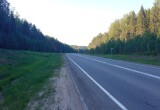 Водитель легковушки получил травмы после вылета в кювет на федеральной трассе в Вологодской области