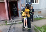 В Вологодской области из задымленного жилища спасли малолетнего ребенка