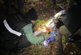 В Вологодской области браконьеры убили лося и сбежали, побросав все вещи 