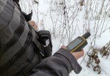 Десять дней поисков: более 160 человек разыскивают пропавшего Артура Полиевктова