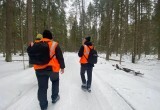 Десять дней поисков: более 160 человек разыскивают пропавшего Артура Полиевктова