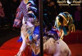 golden-dragon-circus.ru