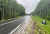 Опасный обгон на трассе «Кола»: в ДТП под Вытегрой пострадали дети