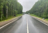 Опасный обгон на трассе «Кола»: в ДТП под Вытегрой пострадали дети