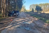Смертельное ДТП в Верховажском округе: Chevrolet Niva врезалась в дерево