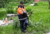 С берегов Серовки в Череповце собрали 3 тонны мусора