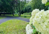 В одном из череповецких дворов после ремонта пропали лужи